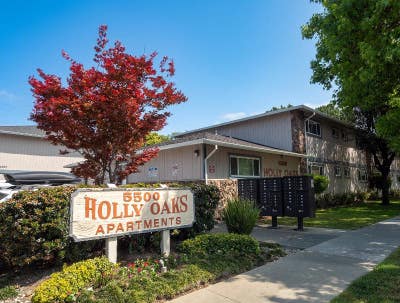 Modern 1 Bed Condo in San Jose |  Main Photo