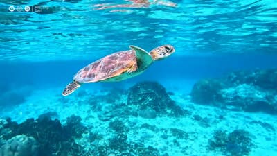 Room wanted in San Diego Main Photo