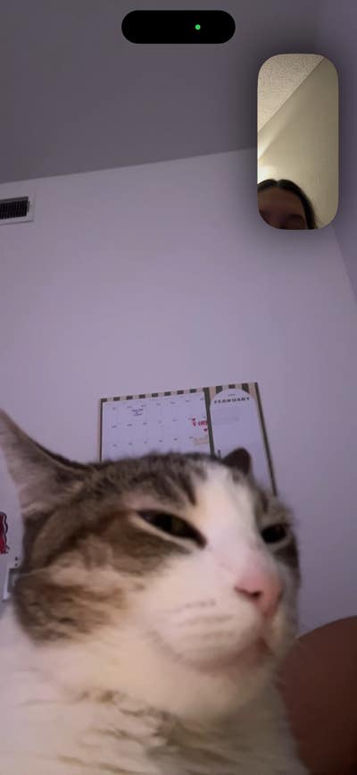 Female looking for a room in Orange CA ASAP Main Photo