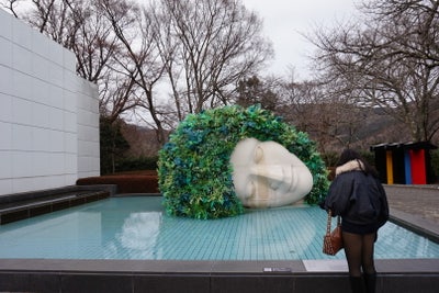 Responsible female looking for Newport room Main Photo