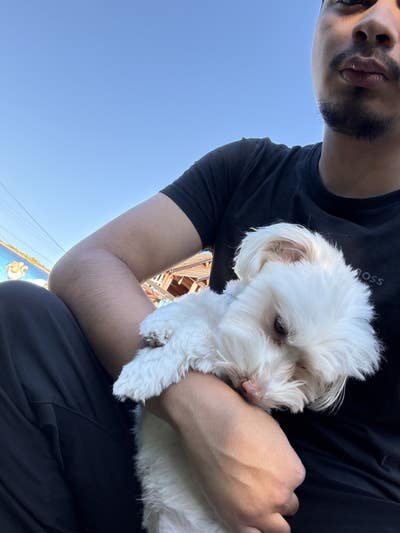 Student looking for a room in Los Angeles Main Photo