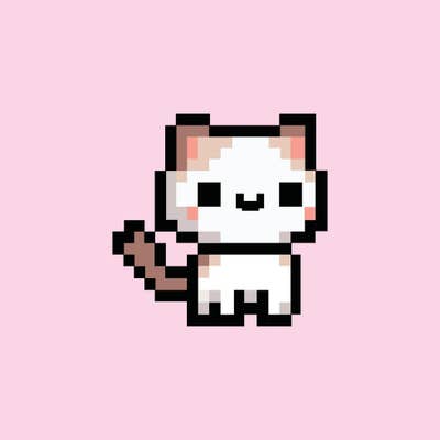 Room wanted in Brooklyn, NY Main Photo