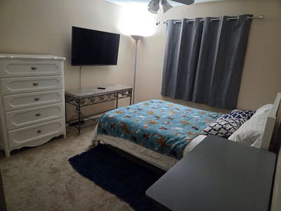 Dunedin Room for Rent Main Photo