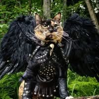 Room wanted in Connecticut Main Photo