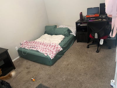 Looking for Roomate in Saginaw Tx Main Photo