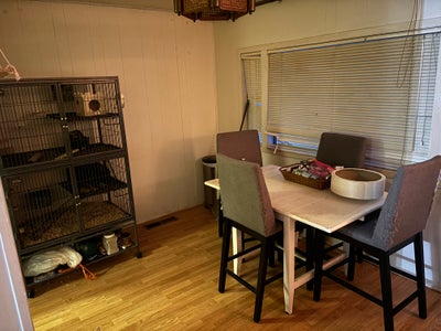 Room for Rent Main Photo