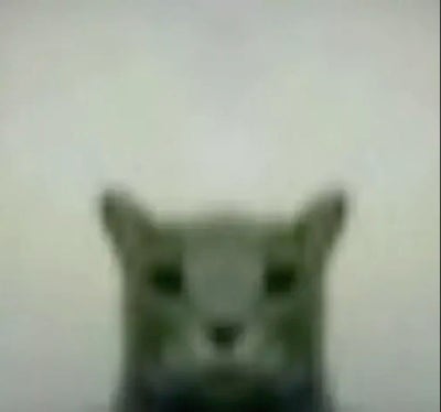 Room wanted in Houston, TX Main Photo