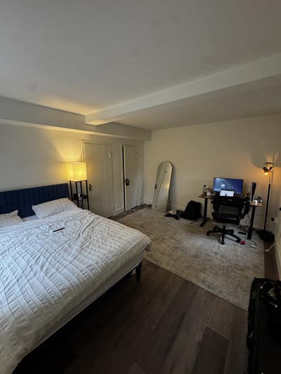 Spacious Furnished Room in Heart of East Village Main Photo