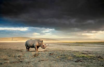 Room wanted in Los Gatos, CA Main Photo