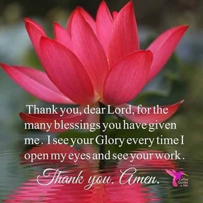 Room wanted in Dallas Main Photo