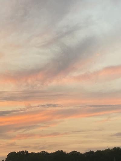 Room wanted in San Diego Main Photo