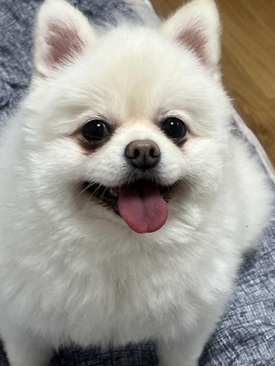 Room wanted in Upper West Side, Manhattan, NY Main Photo