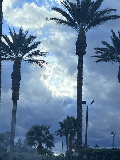 Room wanted in Henderson, NV Main Photo