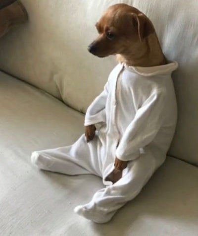 Room wanted in Houston Main Photo