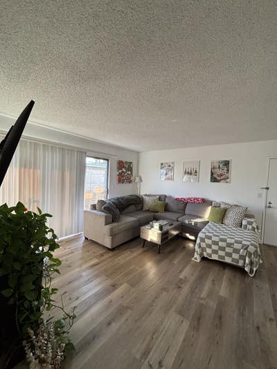 Spacious room & bathroom in 2bed/2bath apartment!  Main Photo