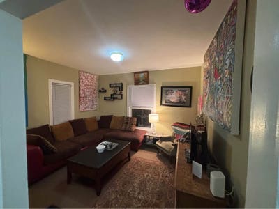 Professional & Kitty Seeking Roommate  Main Photo