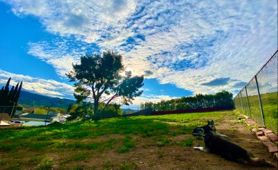 Bedroom in Simi Valley House - Utilities Included Main Photo