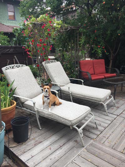 Garden Library Room in Historic Craftsman  Main Photo