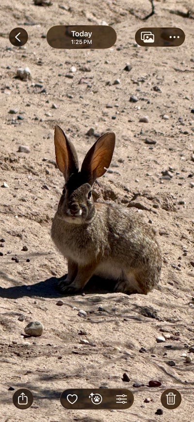 Room wanted in Queen creek Main Photo