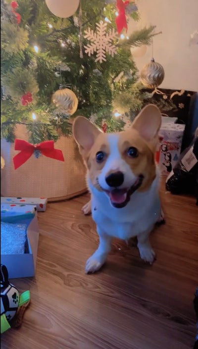 Roommate Wanted  Main Photo