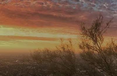 Room wanted in Phoenix Main Photo