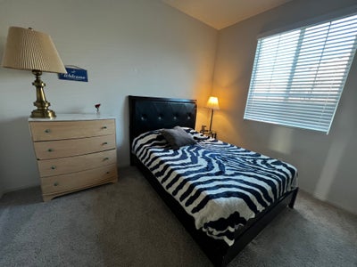 Room available ASAP Main Photo