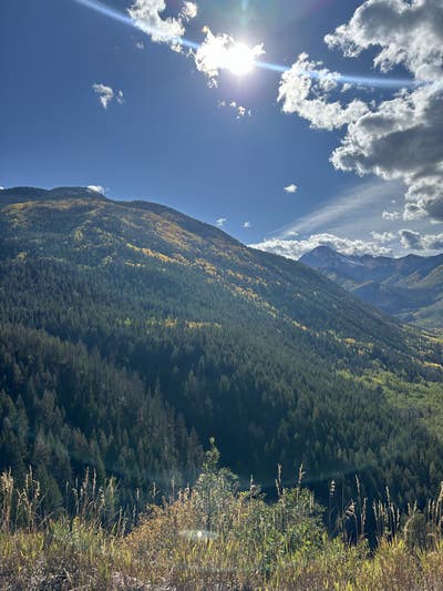 Room wanted in Brickell, FL Main Photo