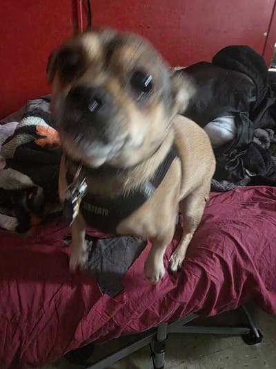 Room wanted in New York Main Photo