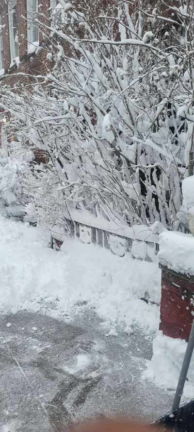  Furnish Apartment or Room wanted  Main Photo