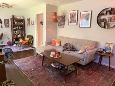 Normal person wanted who likes/loves cats  Main Photo