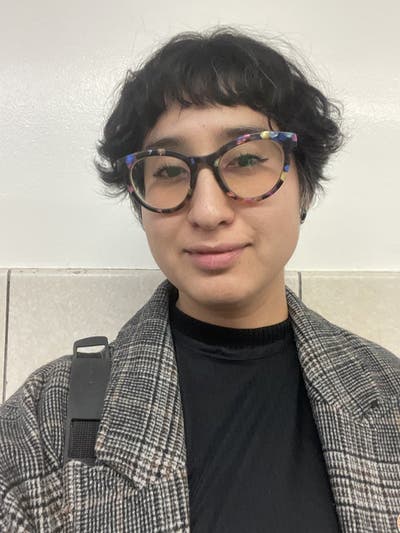 Professional Female seeks a small or large room Main Photo