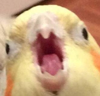 Room wanted in Hamburg, PA Main Photo