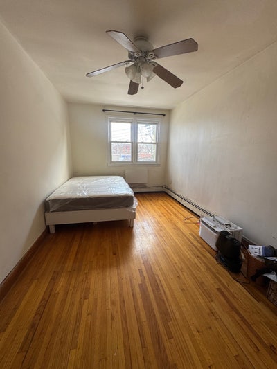 New roommate 🙂 Main Photo