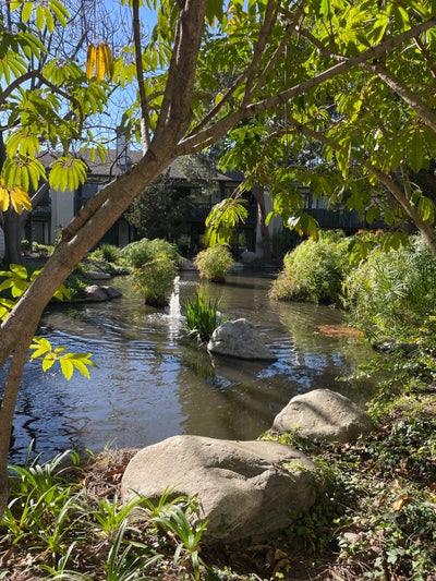 South coast metro private room/bath 1,400/mo Main Photo