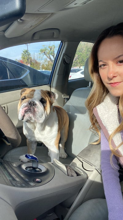 Couple and ESA dog looking for SF Bay Area home Main Photo