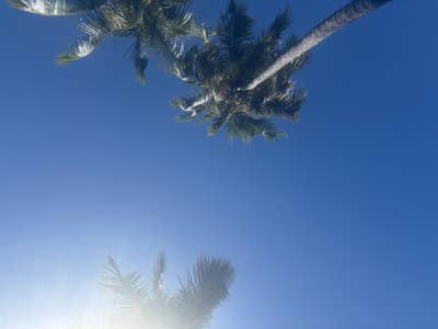 Room wanted in Jersey City, NJ Main Photo