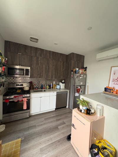 Room in Bushwick Duplex – Great Roommate, Cute Dog Main Photo