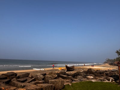 Room wanted in Boston Main Photo