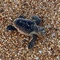 Room wanted in Williamstown, New Jersey Main Photo