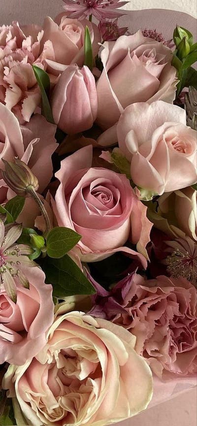 Female student looking for a room in LA now Main Photo