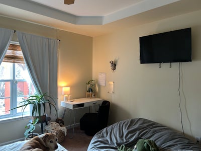 Master Bedroom (couple friendly) Main Photo