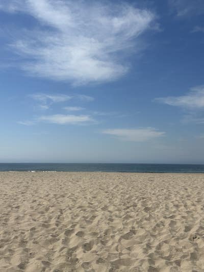 24 year old female looking for a room in LA Main Photo