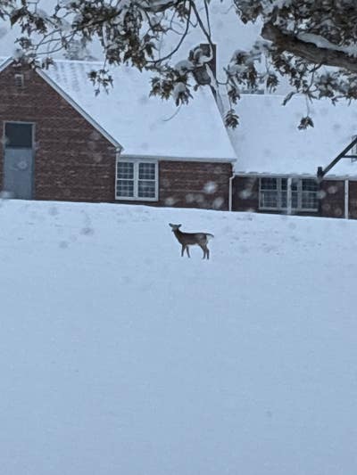 Room wanted in Yonkers, NY Main Photo