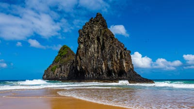 Room wanted in Dallas Main Photo