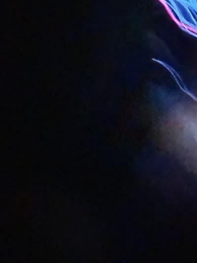 Room wanted in Bronxdale, Bronx, NY Main Photo