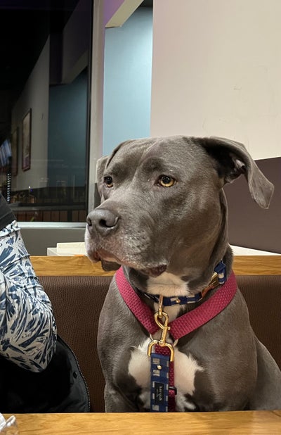 Room wanted in Aurora, CO Main Photo