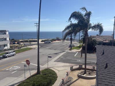 Female Roommate Wanted Main Photo