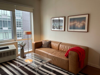 Furnished 1 Bedroom (DW, Gym, W/D) in Williamsburg Main Photo