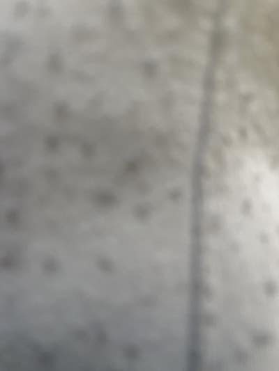 Room wanted in Durham, NC Main Photo