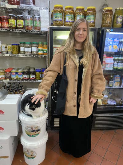 Room wanted in NYC Main Photo